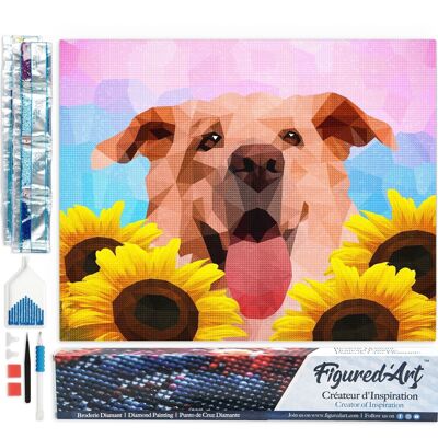 Kit de bordado de diamantes 5D - Pintura de diamantes DIY Arte polígono de perro
