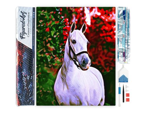 Kit de Broderie Diamant 5D - Diamond Painting DIY Cheval et fond coloré