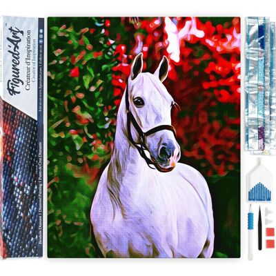 Kit de Broderie Diamant 5D - Diamond Painting DIY Cheval et fond coloré