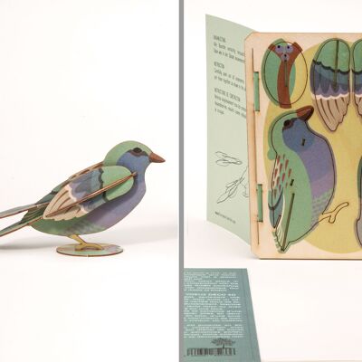 Bird - tarjeta de felicitación decorativa 3D