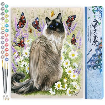 Paint by Number DIY Kit - Discovery of Butterflies - Rolled Canvas