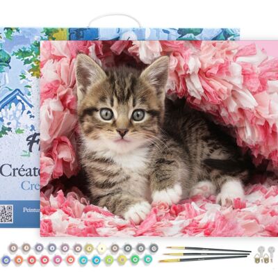 Malen-nach-Zahlen-DIY-Kit – Beschichtetes Kätzchen – gespannte Leinwand auf Holzrahmen