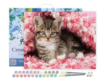 Peinture par Numéro Kit DIY - Chaton enrobé - toile tendue sur châssis en bois 1