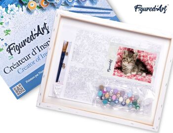 Peinture par Numéro Kit DIY - Chaton enrobé - toile tendue sur châssis en bois 5