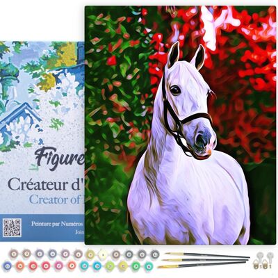Malen-nach-Zahlen-DIY-Set – Pferd und farbiger Hintergrund – Leinwand auf Holzrahmen gespannt