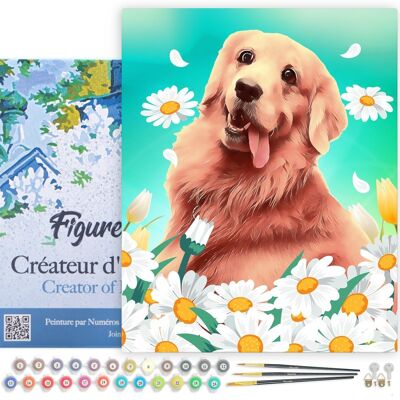 Paint by Number DIY Kit - Golden Retriever - stretched canvas on wooden frame