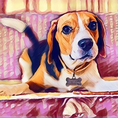 Kit di ricamo a punto croce fai-da-te - Simpatico Beagle