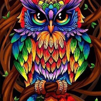 DIY Cross Stitch Embroidery Kit - Colorful Owl