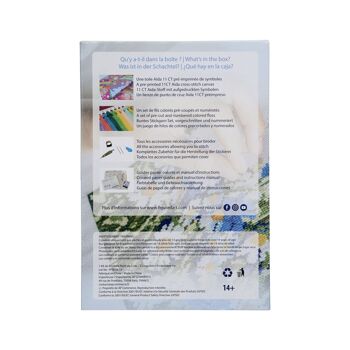 Kit de Broderie Point de Croix DIY - Papillon et Couleurs 3