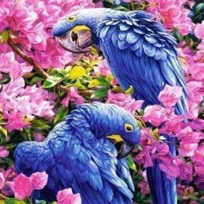 DIY Kreuzstich-Stickset – Blaue Papageien