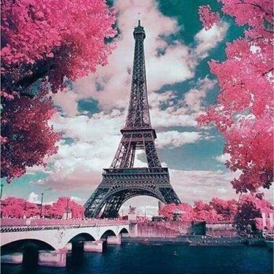 Kit de Broderie Point de Croix DIY - Tour Eiffel en Fleurs