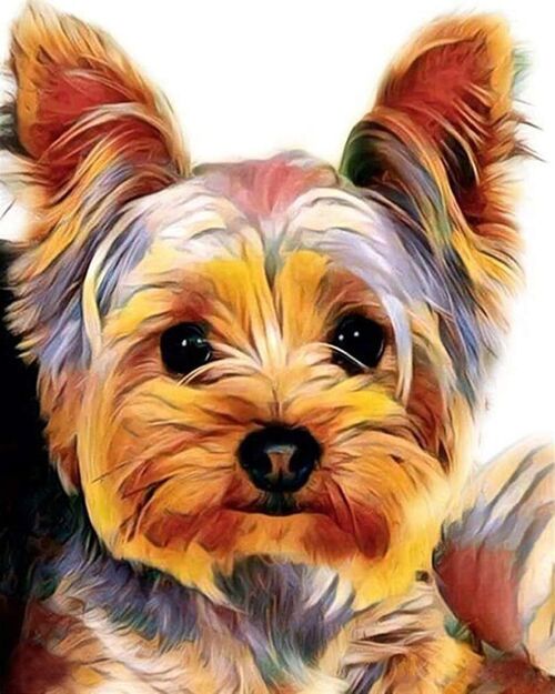 Kit de Broderie Point de Croix DIY - Yorkshire Terrier