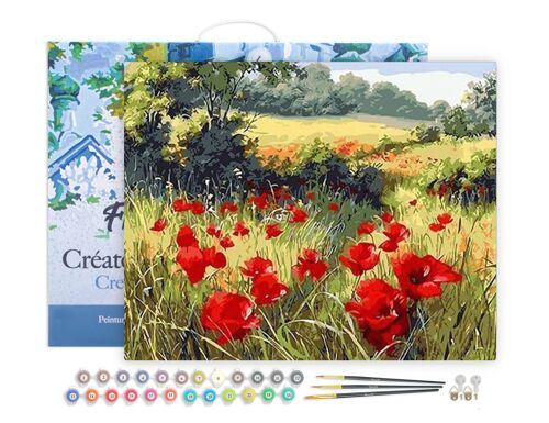 Peinture par Numéro Kit DIY - Coquelicots champêtres - toile tendue sur châssis en bois