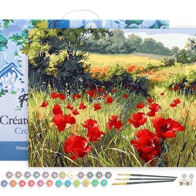 Paint by Number DIY Kit - Country Poppies - stretched canvas on wooden frame