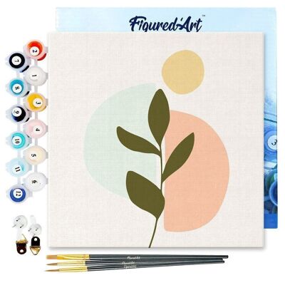 Mini Painting by Numbers - DIY Kit 20x20cm with Plant 3 frame