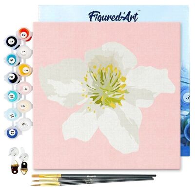 Mini pintura por números - Kit de bricolaje 20x20cm con marco de flor de rosa mosqueta