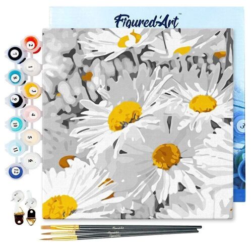 Mini Peinture par Numéros - Kit DIY 20x20cm avec cadre Jolies Marguerites