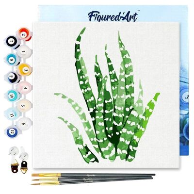 Mini Peinture par Numéros - Kit DIY 20x20cm avec cadre Plante grasse