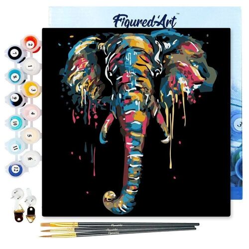 Mini Peinture par Numéros - Kit DIY 20x20cm avec cadre Elephant