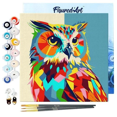 Mini Peinture par Numéros - Kit DIY 20x20cm avec cadre Hibou Abstrait Pop Art