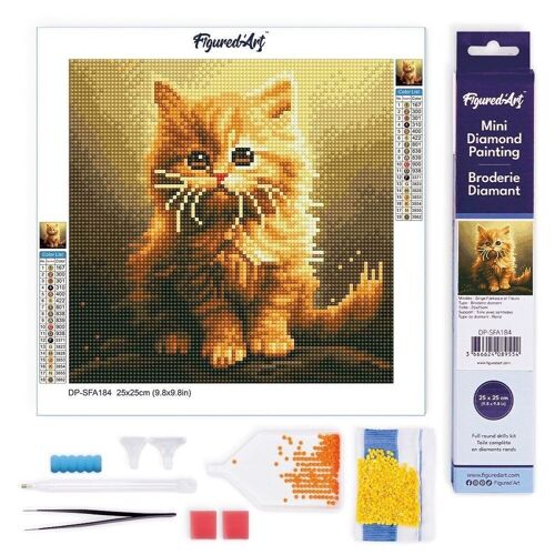 Diamond Painting - Broderie Diamant DIY kit Mini 25x25cm toile roulée - Mignon Petit Chaton Orange