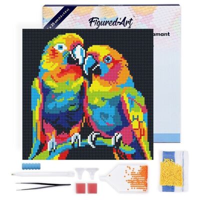 Diamond Painting - DIY Diamond Embroidery kit Mini 25x25cm with frame - Abstract Parrots Pop Art