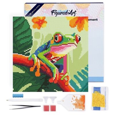 Diamantmalerei – DIY-Diamant-Stickset Mini 25 x 25 cm mit Rahmen – Tropischer Laubfrosch mit roten Augen