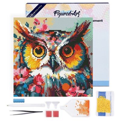 Diamond Painting - Kit ricamo diamante fai da te Mini 25x25 cm con cornice - Fantasia Gufo e Fiori