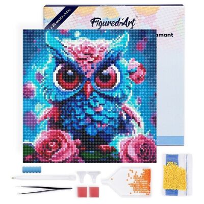 Diamond Painting - DIY Diamond Embroidery kit Mini 25x25cm with frame - Little Blue Owl