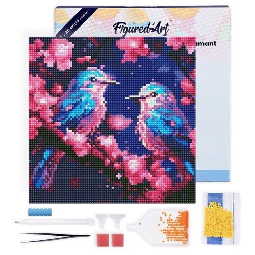 Diamond Painting - Broderie Diamant DIY kit Mini 25x25cm avec cadre - Mésanges Bleues scintillantes