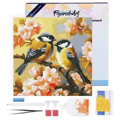 Diamond Painting - Kit de bordado de diamantes DIY Mini 25x25cm con marco - Pareja de pájaros entre flores