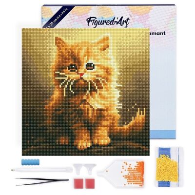 Diamond Painting - Kit ricamo diamante fai da te Mini 25x25 cm con cornice - Simpatico gattino arancione