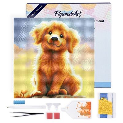 Pintura de diamante - Kit de bordado de diamante DIY Mini 25x25cm con marco - Adorable cachorro Golden Retriever
