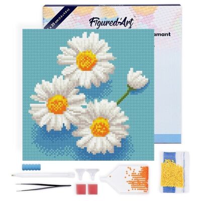 Diamond Painting - DIY Diamond Embroidery kit Mini 25x25cm with frame - Pretty White Daisies