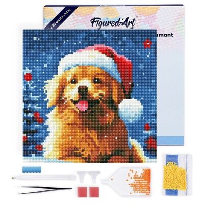 Pintura de diamante - Kit de bordado de diamante DIY Mini 25x25cm con marco - Lindo perro en Navidad