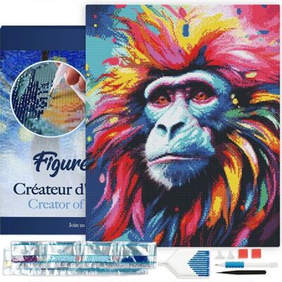 5D Diamond Embroidery Kit - DIY Diamond Painting Abstract Colorful Baboon 40x50cm stretched canvas on frame