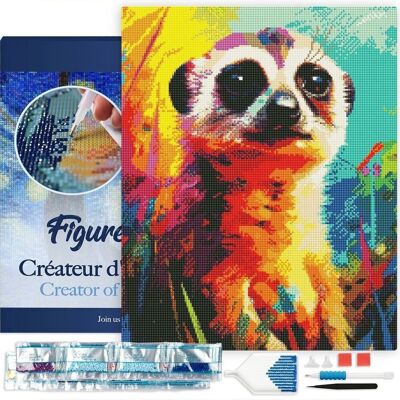 Kit ricamo diamante 5D - Pittura diamante fai da te Meerkat Colorato astratto tela 40x50 cm tesa su telaio