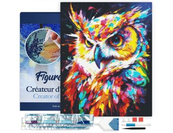 Kit de Broderie Diamant 5D - Diamond Painting DIY Hibou Coloré Abstrait 40x50cm toile tendue sur châssis 1