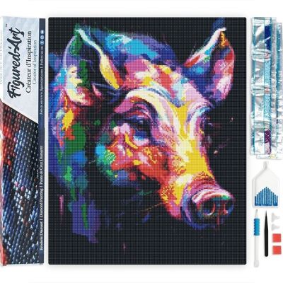 5D-Diamant-Stickset – Diamant-Gemälde zum Selbermachen, abstraktes buntes Wildschwein