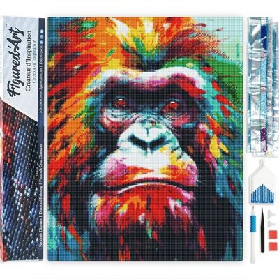 Kit de bordado de diamantes 5D - Pintura de diamantes DIY Orangután colorido abstracto