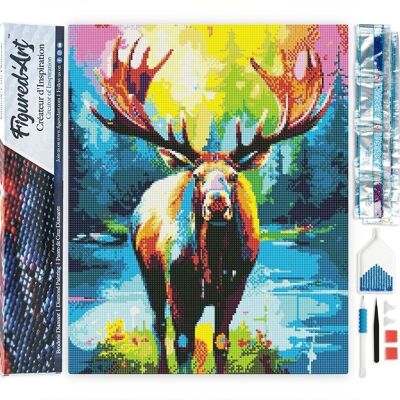 Kit de Broderie Diamant 5D - Diamond Painting DIY Orignal Coloré Abstrait