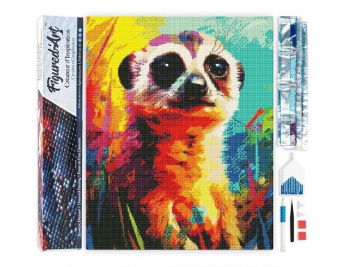 Kit de Broderie Diamant 5D - Diamond Painting DIY Suricate Coloré Abstrait