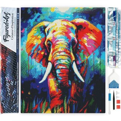 Kit de bordado de diamantes 5D - Pintura de diamantes DIY Elefante colorido abstracto