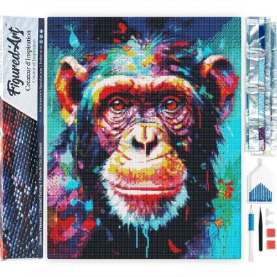 5D Diamond Embroidery Kit - DIY Diamond Painting Abstract Colorful Chimpanzee