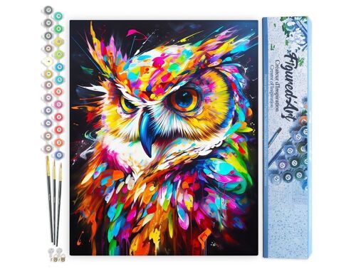 Peinture par Numéro Kit DIY - Hibou Coloré Abstrait - Toile roulée