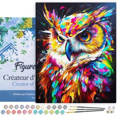 Peinture par Numéro Kit DIY - Hibou Coloré Abstrait - toile tendue sur châssis en bois