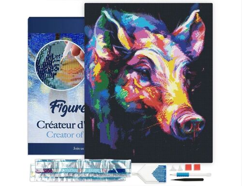 Kit de Broderie Diamant 5D - Diamond Painting DIY Sanglier Coloré Abstrait 40x50cm toile tendue sur châssis