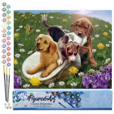 Paint by Number DIY Kit - Games with friends - Rolled canvas