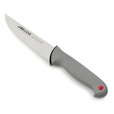 Couteau de boucher Color Prof