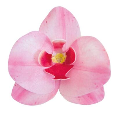 BOX OF 10 EDIBLE WAFER PINK ORCHIDS